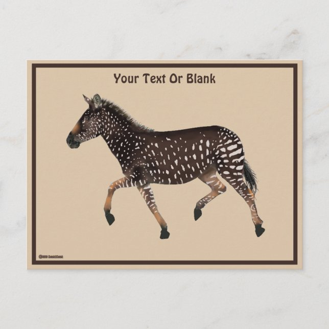 Niedlich Polka Dot Zebra Postkarte (Vorderseite)