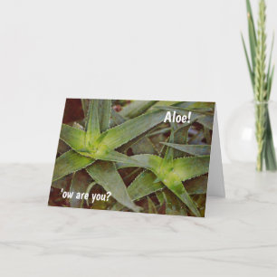 Niedlich Pun Cactus Aloe Hallo Denken Sie an Ihre  Karte