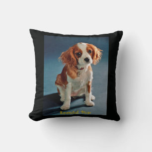 Niedlich Puppy Charles ~ Cavalier King Spaniel ~ & Kissen