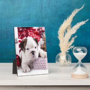 Niedlich Puppy English Bulldog   Weihnachten Fotoplatte
