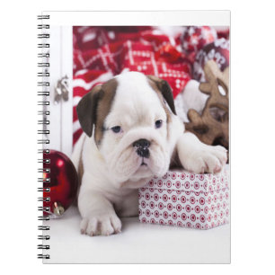 Niedlich Puppy English Bulldog Weihnachten Notizblock