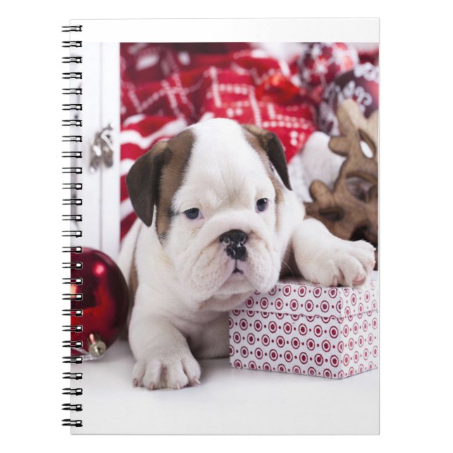 Niedlich Puppy English Bulldog | Weihnachten Notizblock (Vorderseite)