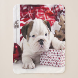 Niedlich Puppy English Bulldog | Weihnachten Sherpadecke