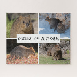 Niedlich Quokka Animal Wildlife Australia, 520 Stü Puzzle