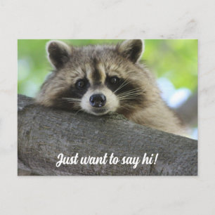 Niedlich Raccoon Say Hi Postcard Postkarte