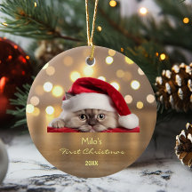 Niedlich Ragdoll Cat Weihnachtsmannmütze Paw Gold 