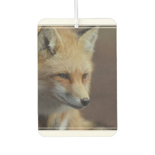 Niedlich Red Fox Autolufterfrischer