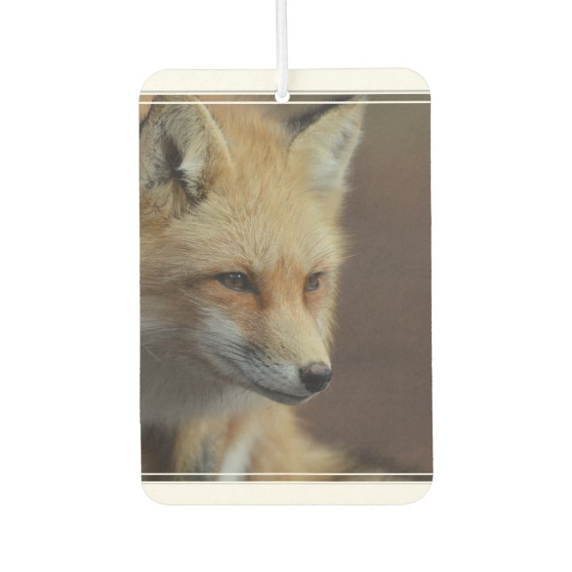 Niedlich Red Fox Autolufterfrischer (Vorderseite)