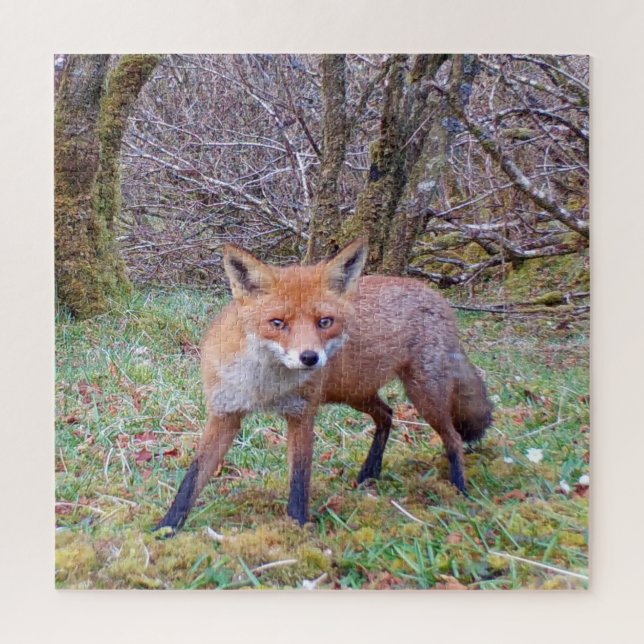 Niedlich Red Fox Puzzle (Vertikal)