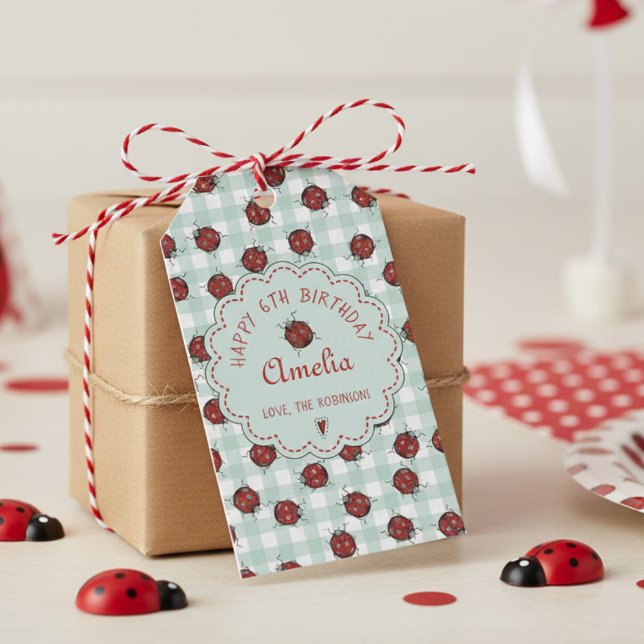 Niedlich Red Ladybug & Turquoise Gingham Pattern K Geschenkanhänger (Cute Red and Black Ladybug Gift Tags for Ladybug Kids Birthday Party, Insect Lover or Nature Lover)