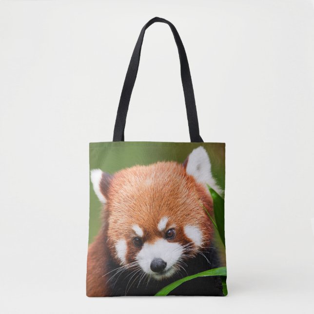 Niedlich Red Panda (Vorderseite)