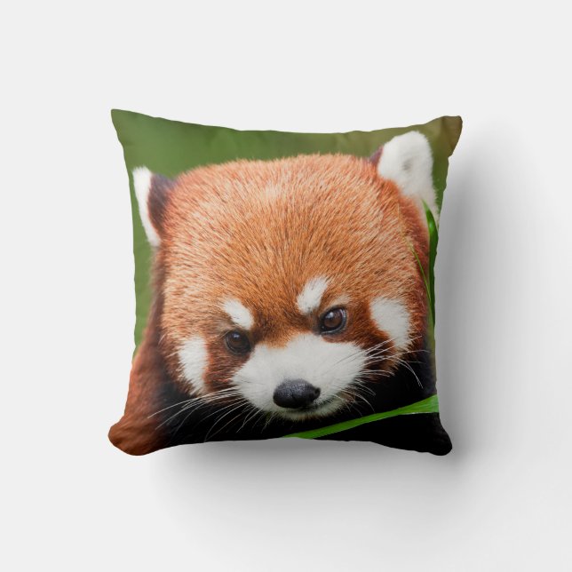 Niedlich Red Panda Kissen (Vorderseite)