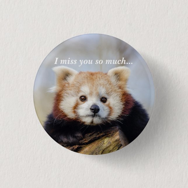 Niedlich Red Panda Miss Sie so viel Button (Vorderseite)