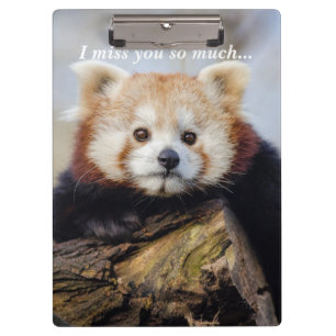 Niedlich Red Panda Miss Sie so viel Klemmbrett