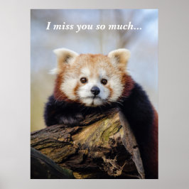 Niedlich Red Panda Miss Sie so viel Poster