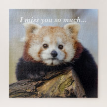 Niedlich Red Panda Miss Sie so viel