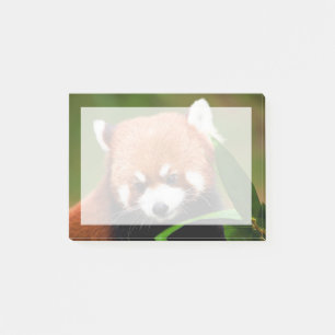 Niedlich Red Panda Post-it Klebezettel