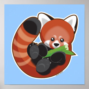 Niedlich Red Panda Poster