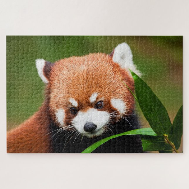 Niedlich Red Panda Puzzle (Horizontal)