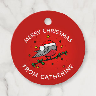 Niedlich Red Robin Bird Weihnachten Geschenkanhänger
