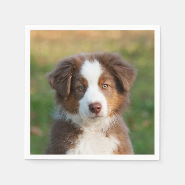 Niedlich Red Tri Australian Shepherd Dog Puppy Fot Serviette (Vorderseite)