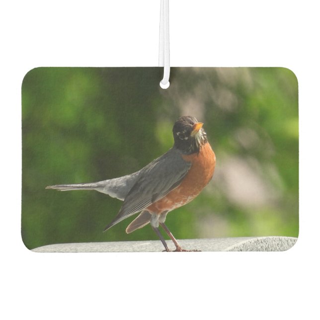 Niedlich Robin Autolufterfrischer (Vorderseite)