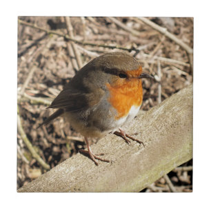 NIEDLICH ROBIN FLIESE