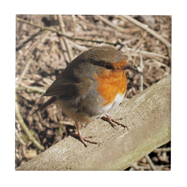 NIEDLICH ROBIN FLIESE (Vorderseite)