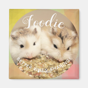 Niedlich Robo Hamsters Feinschmecker Magnet