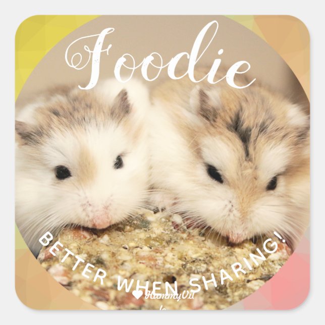 Niedlich Robo Hamsters Feinschmecker Quadratischer Aufkleber (Vorderseite)