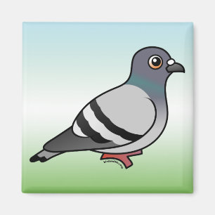 Niedlich Rock Pigeon Magnet