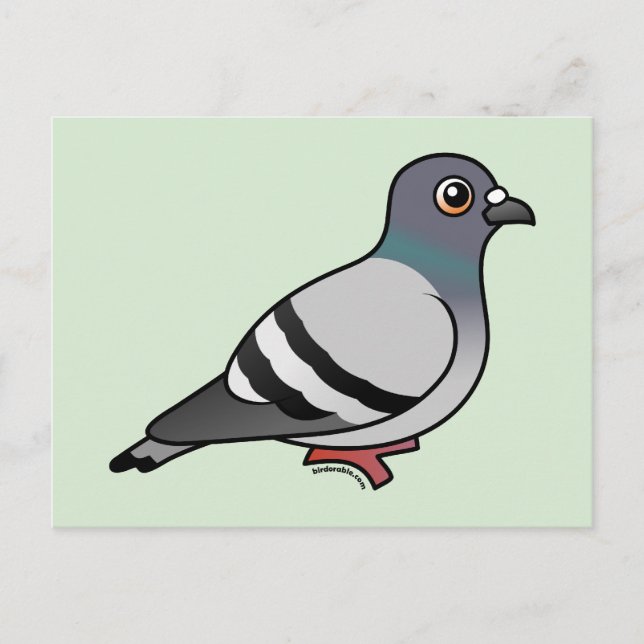 Niedlich Rock Pigeon Postkarte (Vorderseite)