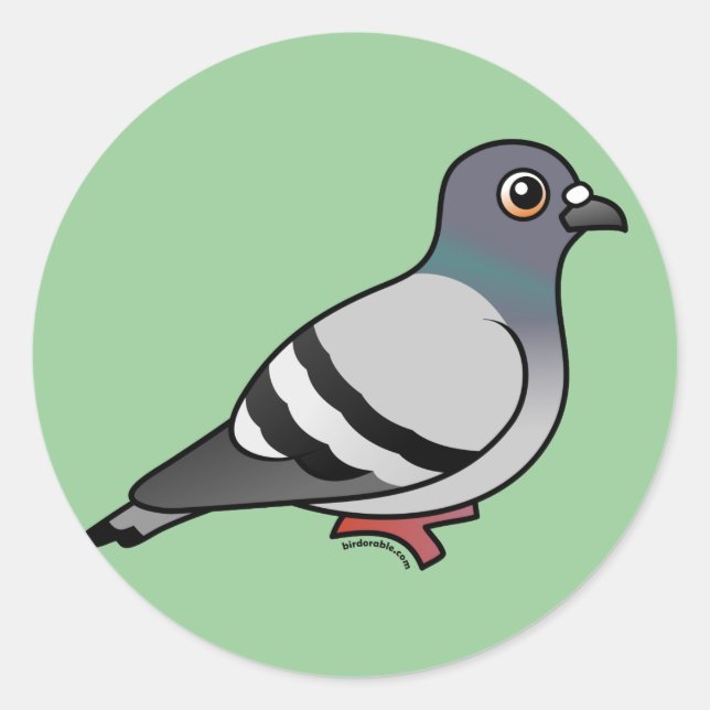 Niedlich Rock Pigeon Runder Aufkleber (Vorderseite)