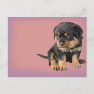 Niedlich Rottweiler Geburtstag Postkarte