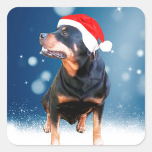 Niedlich Rottweiler Hund Weihnachten Weihnachtsman Quadratischer Aufkleber
