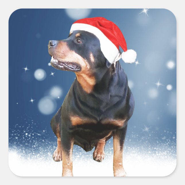 Niedlich Rottweiler Hund Weihnachten Weihnachtsman Quadratischer Aufkleber (Vorderseite)