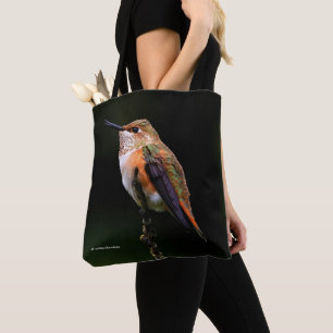 Niedlich Rufous Hummingbird auf Fruchtbaum