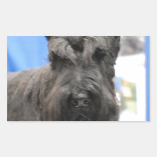 Niedlich Schnauzer Stickers