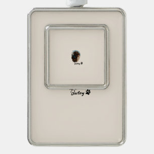 Niedlich Schokolade Labrador Hund - Bailey   Haust Rahmen-Ornament Silber