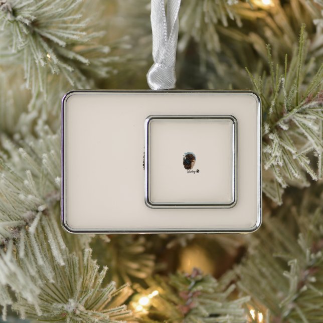Niedlich Schokolade Labrador Hund - Bailey | Haust Rahmen-Ornament Silber (Baum)