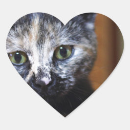 Niedlich Schwarz-Weiß-Kitten Herz-Aufkleber