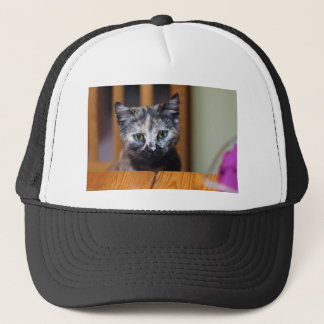 Niedlich Schwarz-Weiß-Kitten Truckerkappe