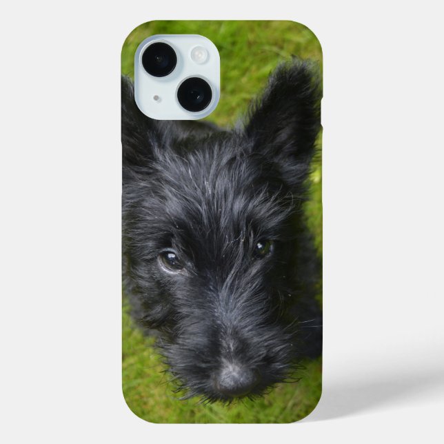 Niedlich Scottie Puppy Face Case-Mate iPhone Hülle (Rückseite)