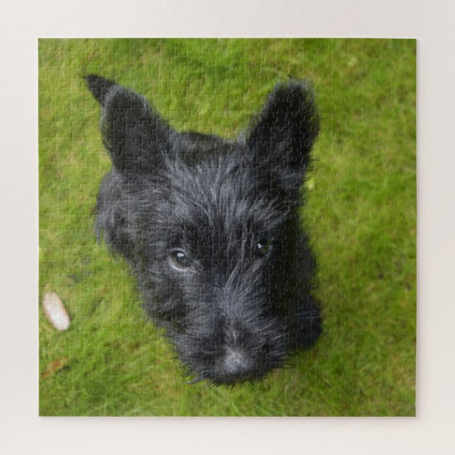 Niedlich Scottish Terrier Puppy Puzzle (Vertikal)