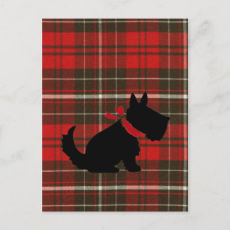 Niedlich Scotty Dog & Red Tartan Postkarte