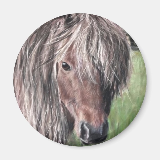 Niedlich Shetland Pony Magnet (Vorne)