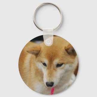 Niedlich Shiba Inu Schlüsselanhänger