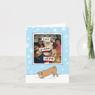 Niedlich Shiba Inu Winter   Fotovorlage Weihnachte Feiertagskarte