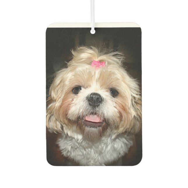 Niedlich Shih Tzu-Gesicht Autolufterfrischer (Vorderseite)