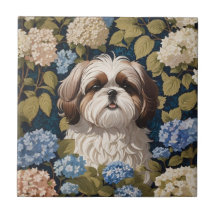 Niedlich Shih Tzu Puppy Blue Hydrangea Blume
